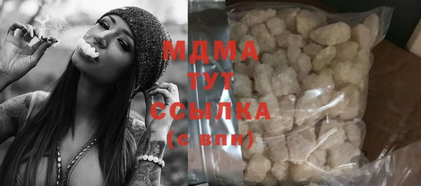 индика Михайловск