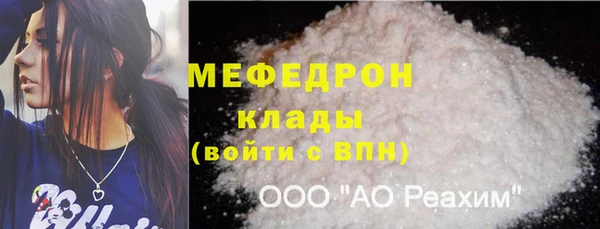 индика Михайловск