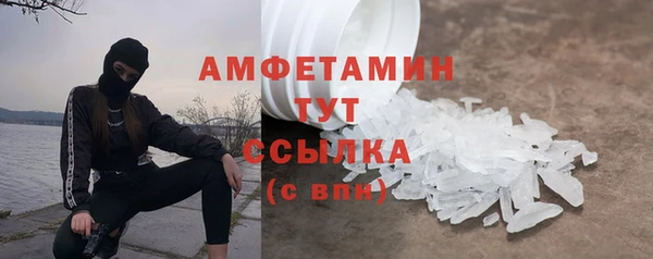 индика Михайловск