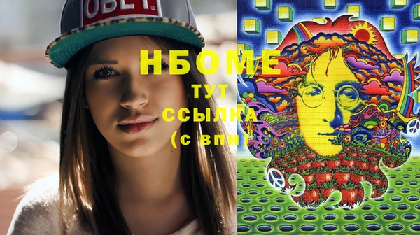 индика Михайловск